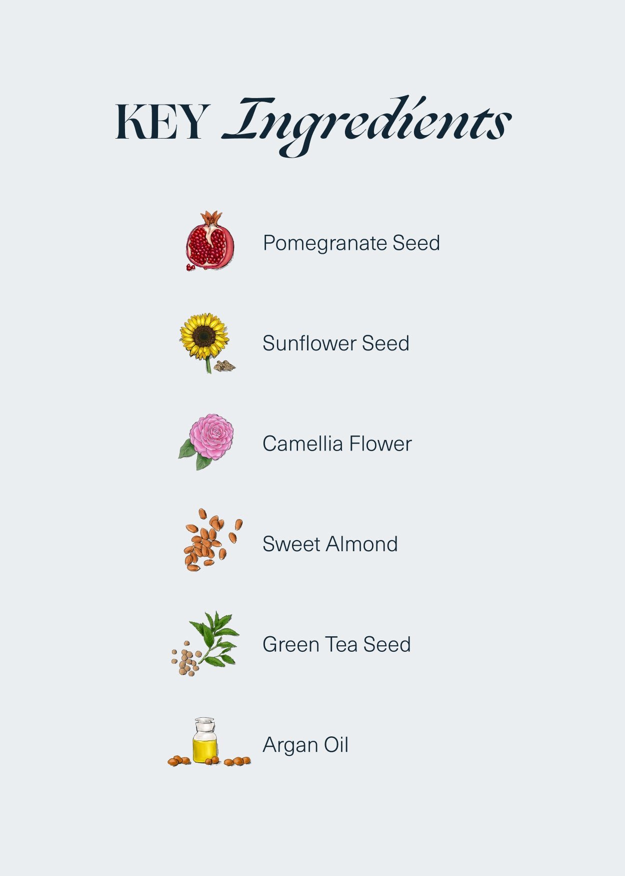 The Hair Elixir - Image 6